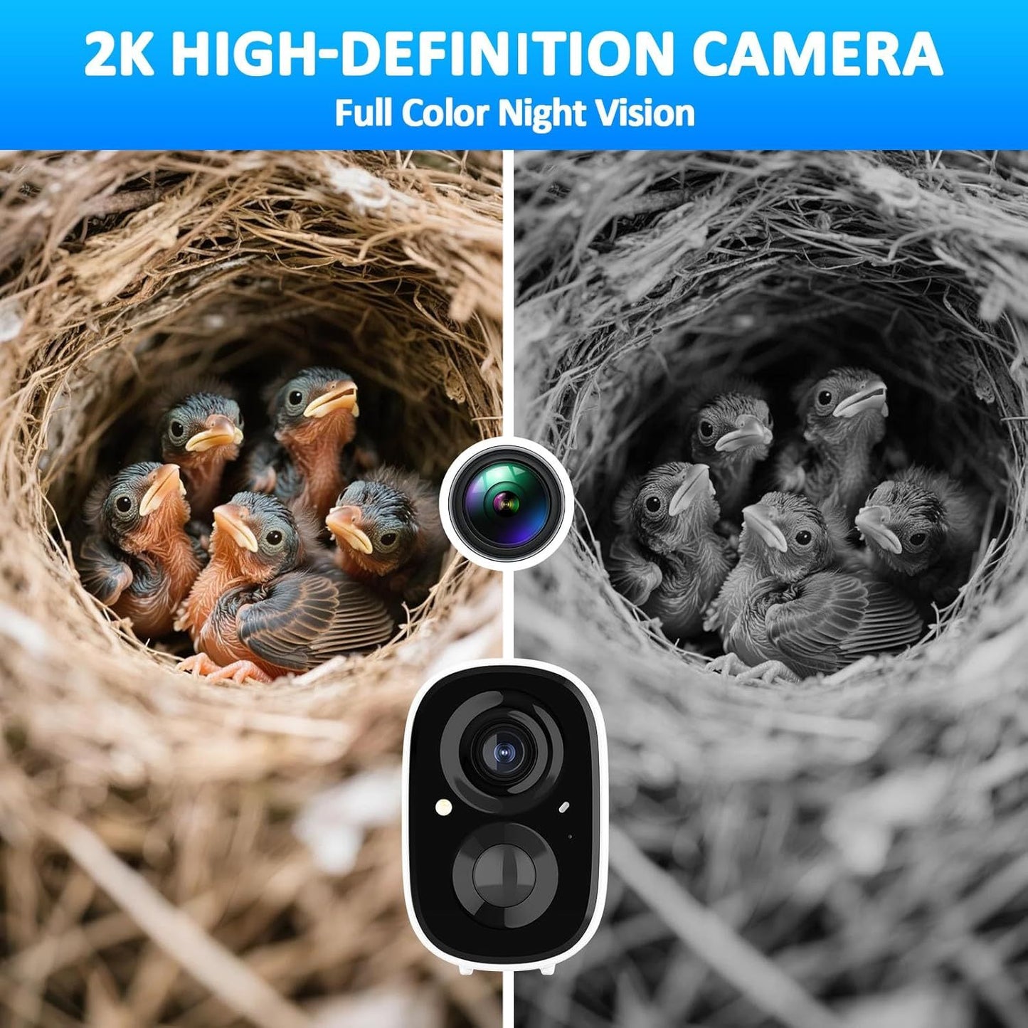 Solar Powered Smart Birdhouse | 4MP Camera for Outdoors